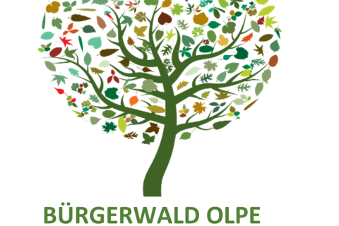 Burgerwald-Olpe_Logo-1